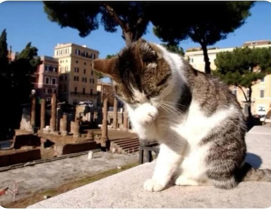 Campo De'Fiori-Rome By Foot Charming Apartment Aircwif Netflix 0*, Rome Italy